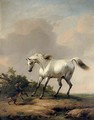 A white horse startled by a dog - Eugène Verboeckhoven