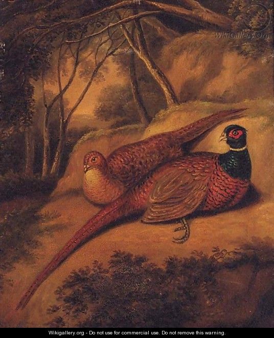 A Cock and Hen Pheasant in a wooded Landscape - English School