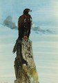 Steppe Eagle - Ernest Henry Griset