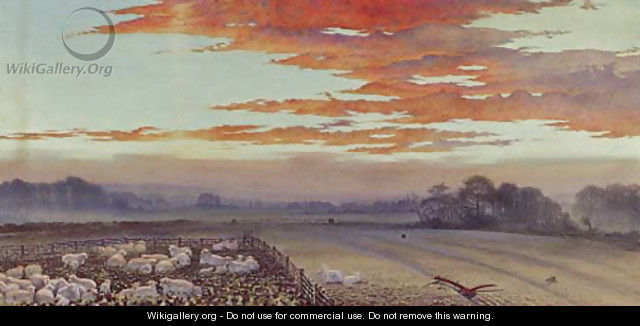 Sunset an extensive landscape with sheep in a pen, a wood beyond - English School