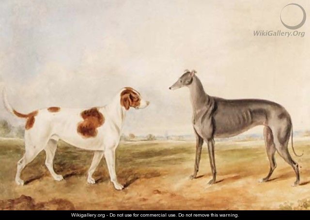 A Foxhound and a Greyhound in an extensive Landscape - English School