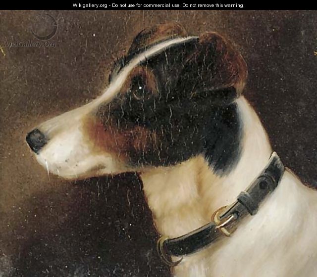 The head of a terrier - English School