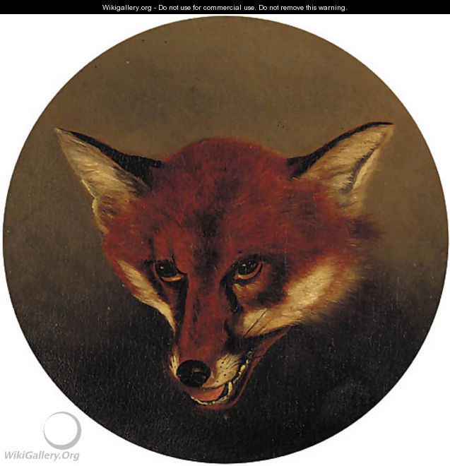 The head of a fox - English School