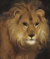 The head of a lion - English School