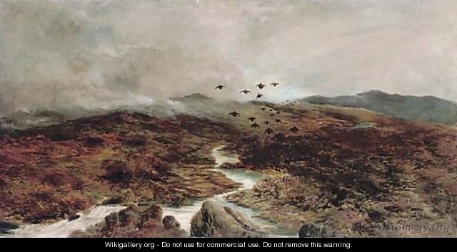 Grouse over the moors - English School