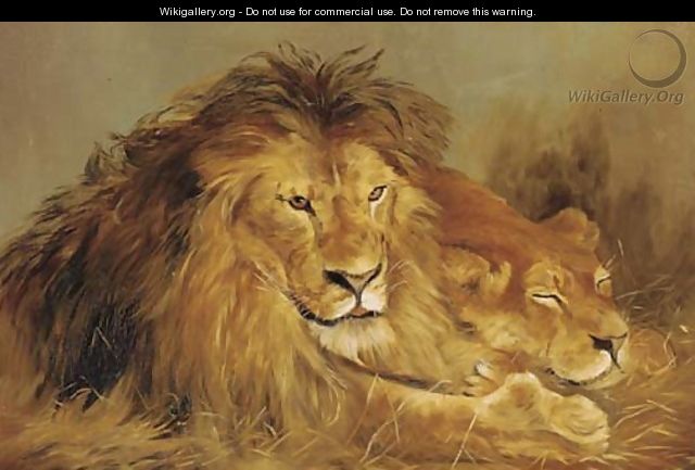 A lion and lioness lying in the grass - English School