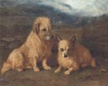 Two terriers in a landscape - English School