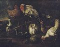 A rooster, chickens, pigeons and a hare outside a stable in a landscape - (after) Jacomo (or Victor, Jacobus) Victors
