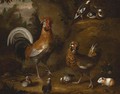 A cockerel and hen with chicks - (after) Jakob Bogdany
