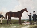 A racehorse held by a groom with the trainer and jockey - (after) Harry Hall
