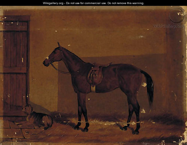 A saddled chestnut hunter with a dog in a stable - (after) Henry Frederick Lucas-Lucas