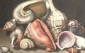 Various shells on a stone ledge - (after) Giovanna Garzoni