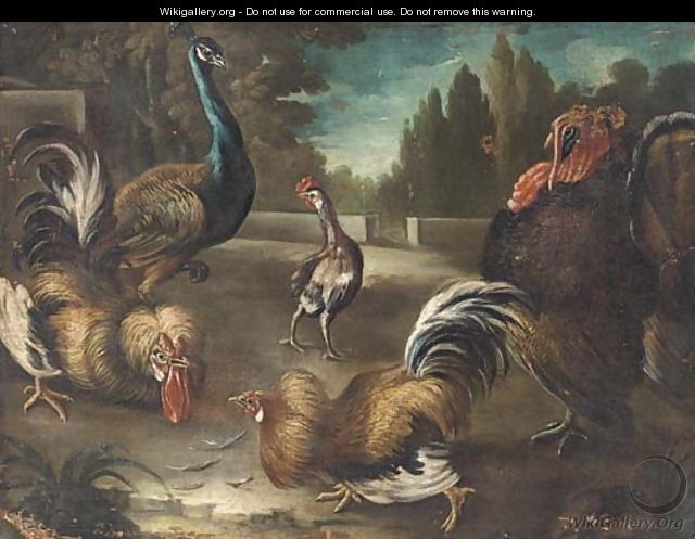 Cockerels, a peacock and turkey in a garden landscape - (after) Giovanni Crivelli, Il Crivellone