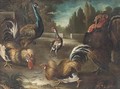 Cockerels, a peacock and turkey in a garden landscape - (after) Giovanni Crivelli, Il Crivellone