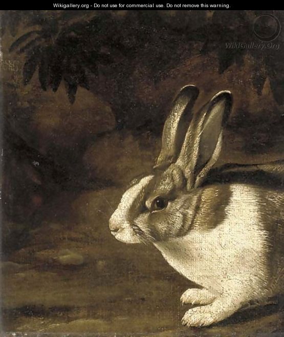 A rabbit in a rocky undergrowth - (after) David De Koninck