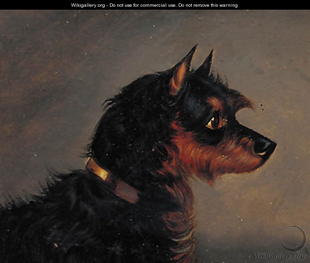 A Manchester terrier - (after) Edwin Loder Of Bath