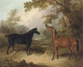 A black horse and a chestnut horse in an oak wood - (after) Charles Henry Schwanfelder