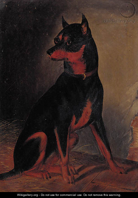 A Manchester terrier - (after) Colin Graham Roe