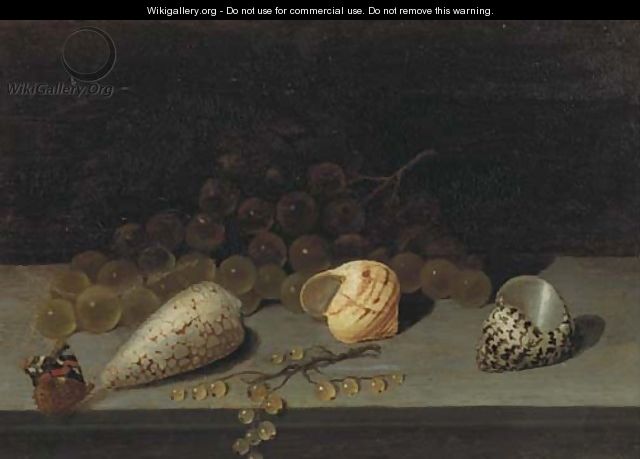 Shells, a brunch of white grapes, white currants and a butterfly on a ledge - (after) Balthasar Van Der Ast