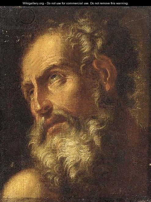 An old man, head and shoulders - (after) Antonio Zanchi