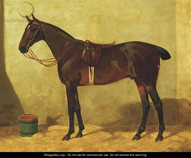 A stallion in the stable - Dutch School