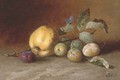 A cooking apple, plums and a butterfly - Dutch School