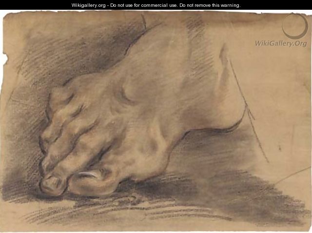 A foot - Domenico Maria Canuti
