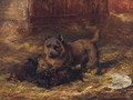 Puppies Playing - David George Steell