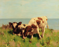 The Shore Pasture - David Gauld