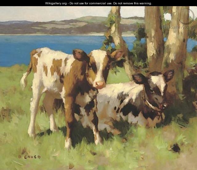Calves in a meadow - David Gauld