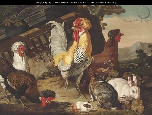 Chickens, rabbits and a guinea-pig by classical ruins - David de Coninck