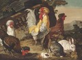Chickens, rabbits and a guinea-pig by classical ruins - David de Coninck