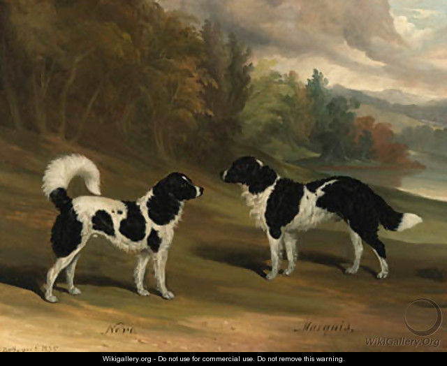 Nero and Marquis, two Landseer newfoundlands, in a wooded lake landscape - David of York Dalby