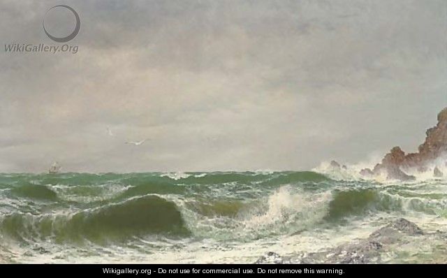 Waves crashing on a rocky coast - David James