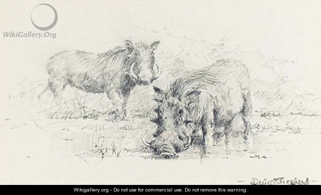 Warthogs - Thomas Hosmer Shepherd