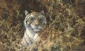 Tiger at rest - Thomas Hosmer Shepherd