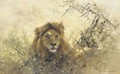 Old Chap - portrait of a lion - Thomas Hosmer Shepherd