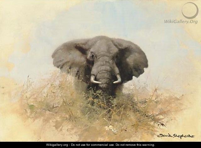 Elephant in the bush - Thomas Hosmer Shepherd