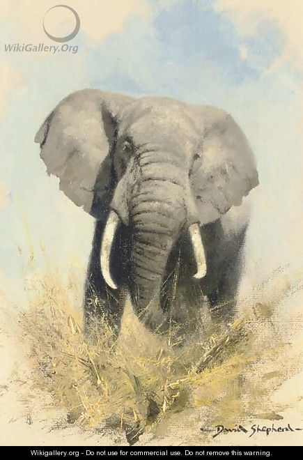 Charging elephant - Thomas Hosmer Shepherd