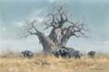 Buffalo and the Baobab tree - Thomas Hosmer Shepherd