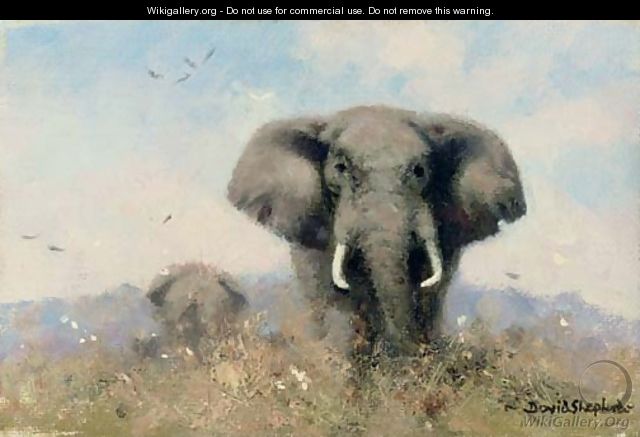 An elephant with birds - Thomas Hosmer Shepherd