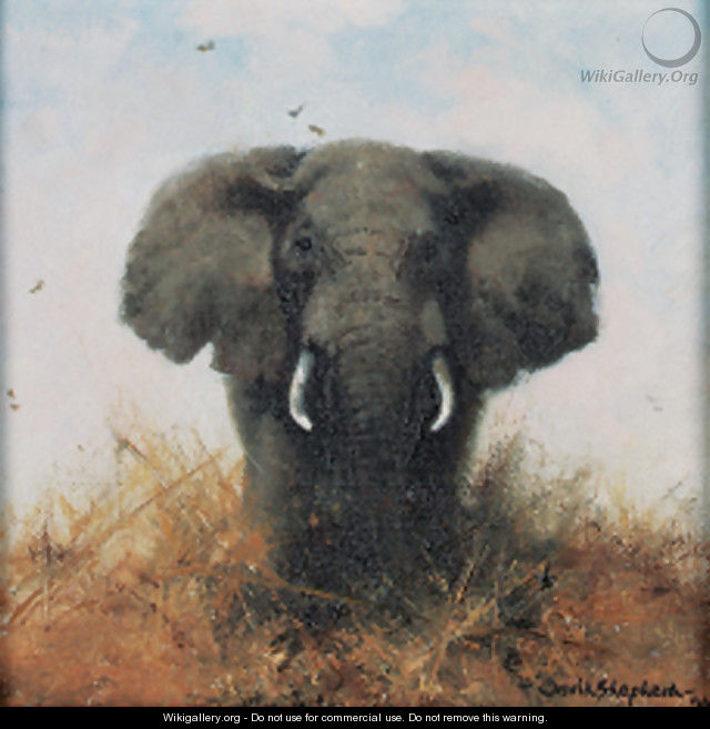 African Elephant - Thomas Hosmer Shepherd