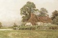 Rural cottage with chickens feeding - Curtius Duassut