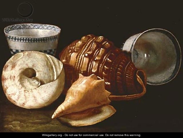 Three shells and two ceramic bowls - Cristoforo Munari