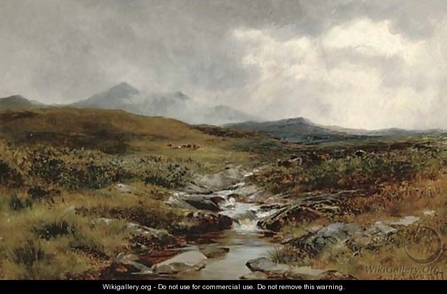 A Welsh moorland stream - David Bates