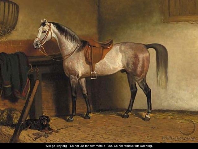 A saddled grey horse in a stable - Cornelis Albertus Johannes Schermer