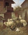 Sheep and poultry in a farmyard; and Sheep and poultry in a barn - Continental School