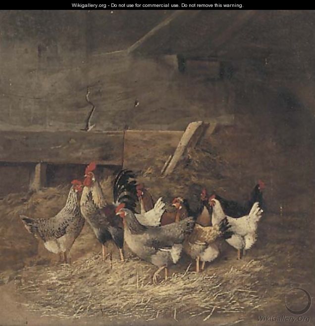 Chickens in a barn - Continental School