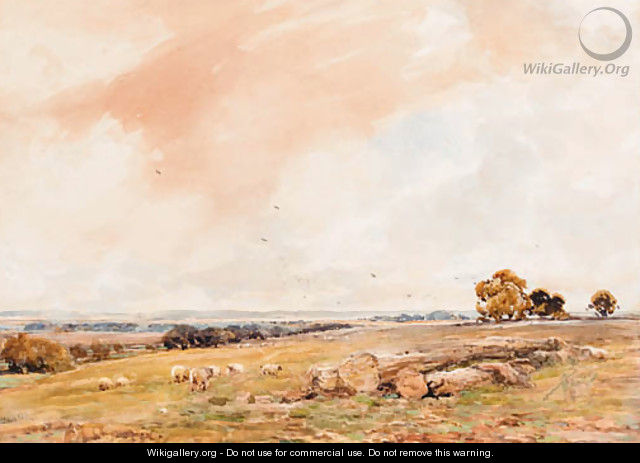 Sheep grazing in an open landscape - Claude Hayes