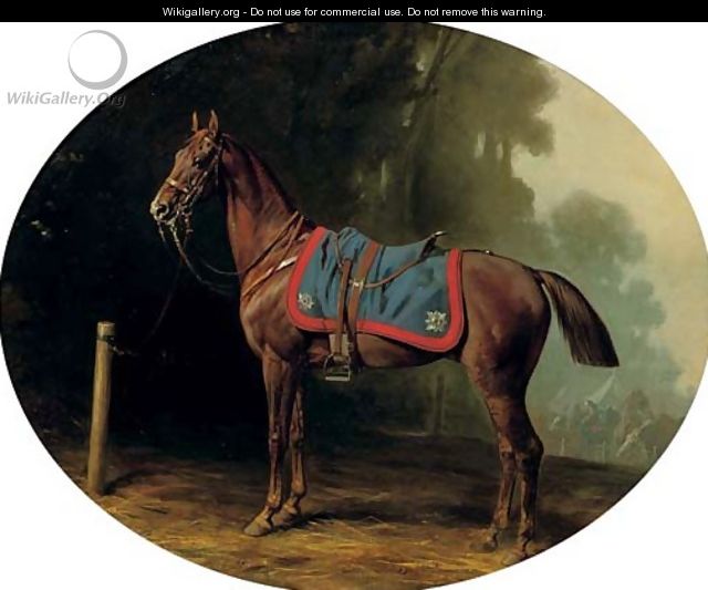 A military horse - Conrad Freyberg